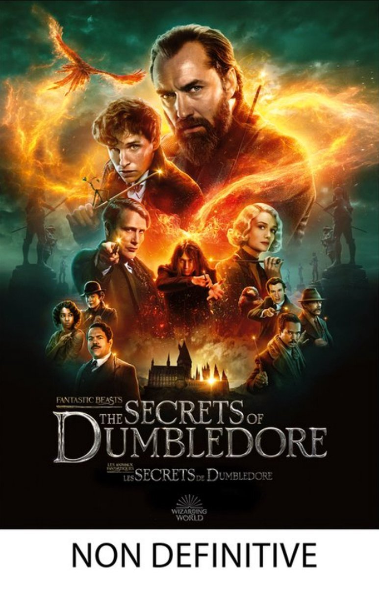 Warner Home Video Fantastic Beasts - The Secrets Of Dumbledore (4K Ultra HD Blu-ray) (Steelbook)