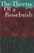 The Thorns Of A Rosebush