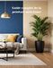 Guide Icecat Guide complet de la peinture intérieure