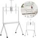 Maclean TV-standaard / trolley, camera plank, op wielen, 55-100", max. belasting 120kg/10kg plank, max. VESA 900x600, wit, MC-114 W