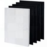 Merkloos / Sans marque TotalReplace Luchtreiniger filter set compatibel met WINIX ZERO, 5300-2 en P300 - Vervanging Filter A - HEPA en koolstoffilter