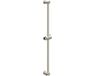 IVY Glijstang 80 cm met Geïntegreerde Wateruitlaat - Geborsteld Nickel