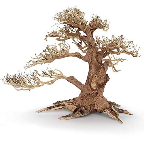 Croci Thee Soul Hout Oosterse Wind 4 Klein 1 Tel 21 g