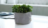 B&P Italia Pot Cover voor planten in Cellulose Fibre, Havana