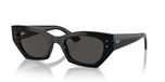 Ray-Ban Zonnebril '0RB4430' noir