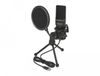 Delock 66331 Microphone PC Noir