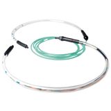 ACT RL4225 - 250m - Transparant