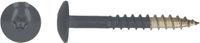 pgb-Europe PGB-FASTENERS HPL schroef Tx20 4,8x38 R7015 A4