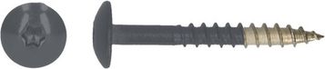 pgb-Europe PGB-FASTENERS HPL schroef Tx20 4,8x38 R7015 A4