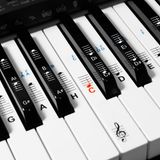 kwmobile Piano en Keyboard Stickers - Transparant
