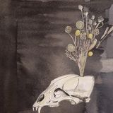 Konkurrent Steve Gunn & Black Twig Pickers - Seasonal Hire (CD)