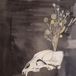 Konkurrent Steve Gunn & Black Twig Pickers - Seasonal Hire (CD)