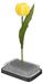 Icecat Support rectangulaire pour fleurs en acier, dimensions 8,3 x 5,8 cm, avec base en caoutchouc