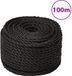 vidaXL Werktouw 12 mm 100 m polypropeen zwart