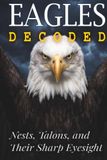 Eagles Decoded: Nests, Talons, and Their Sharp Eyesight
