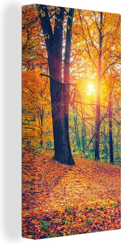 OneMillionCanvasses Canvas schilderij 80x160 cm - Herfst Bos - Wanddecoratie