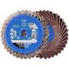 PFERD TOOLS 42719810 Jeu de disques abrasifs Diamètre 50 mm Granulométrie 80 10 pièce(s)