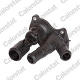Calorstat By Vernet Thermostat, Liquide De Refroidissement Te7090.98j Ford