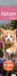 times&more Katzen Langplaner 2027