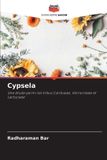 Cypsela: Editions Notre Savoir Cypsela: Une étude parmi les tribus Cardueae, Vernonieae et Lactuceae Paperback