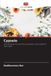 Cypsela: Editions Notre Savoir Cypsela: Une étude parmi les tribus Cardueae, Vernonieae et Lactuceae Paperback