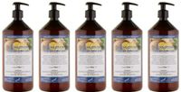 Claudius Cosmetics B.V. Bodylotion Fresh Ginger 1 Liter - set van 5 stuks