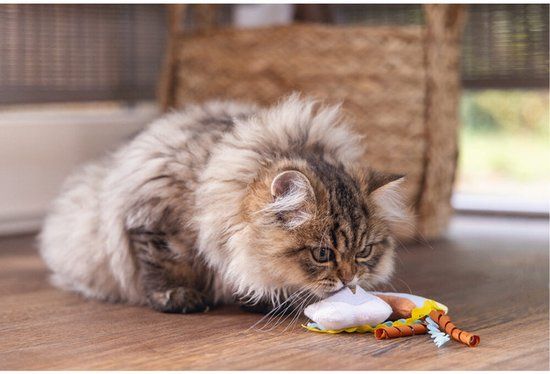 Beeztees Kitten Hide and Seek Iris