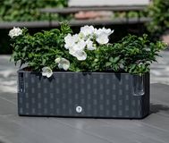 Flower Lover Cobble Trio - Slimme kruidenpot met bewateringssysteem - Antraciet