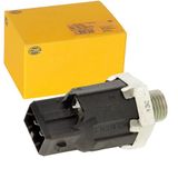 HELLA 6PG 009 108-881 Klopsensor - 2-polig