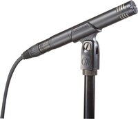 Audio-Technica AT2031 instrumentmicrofoon