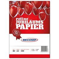ROLINE A4 80 g/m² 500 vel(len) gewoon papier