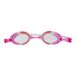 Nike Swimming Glasses Chrome Jr NESSD128 670