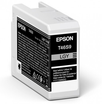 Epson UltraChrome Pro single pack / licht grijs