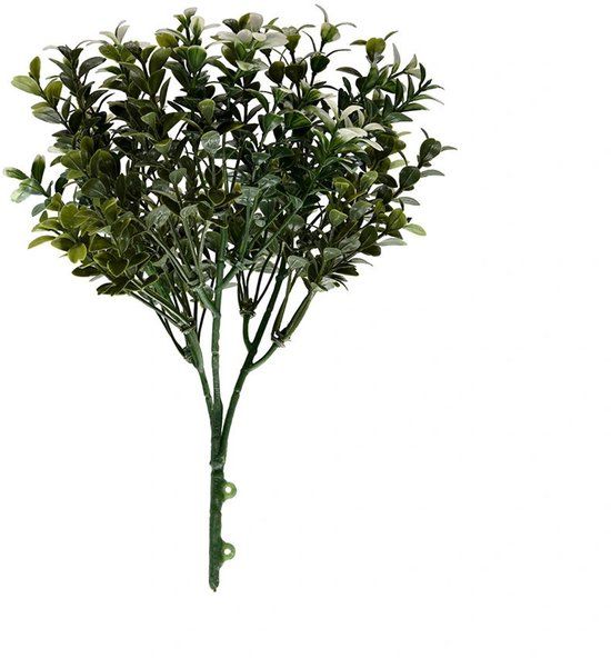 Buitengewoon Boet Buitengewoon de Boet Buxus engels 32 cm kunsttak