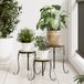 VidaXL Plantenstandaards 3 st keramiek terracottakleurig en wit