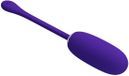 Julius Waterproof Vibrating Egg Violet