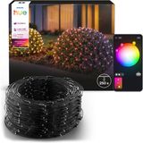 Philips Hue Philips Festavia Netverlichting – 1 M X 3,5 M, 250 Led's