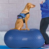 FitPAWS Trax Peanut - Geel - 40 cm