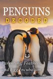 Penguins Decoded: Parenting, Feathers, and Egg Incubation