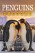 Penguins Decoded: Parenting, Feathers, and Egg Incubation