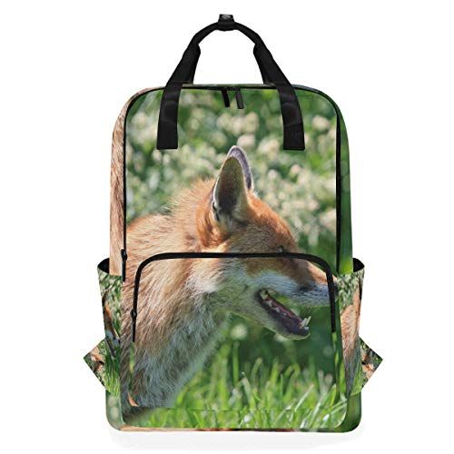 MONTOJ Travel Rugzak Hongerige Fox Picture School Rugzak - 5712279515523