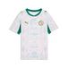 PUMA Functioneel shirt 'Senegal 2026' geel / groen / rood / wit
