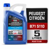 Holts HAFR0002B Liquide de refroidissement antigel pour Peugeot Citroën avec bec verseur 10 ans 480 000 km longue durée de vie jusqu'à -35 °C, avec bec, bleu, 5 litres