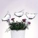 Sans marque Boules d'arrosage pour plantes en verre, 3 pièces