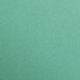 Clairefontaine 97951C Pakket Maya Papier - 25 Vellen Glad Dennengroen Tekenpapier - A1 59,4x84 cm 270g