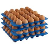 APS 10 lagen in de eierdoos, opslag voor eieren, elke laag heeft 30 eieren, 28,5 x 28,5 cm, 6,5 cm hoog