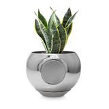 MagPot Magnetische plantenpot, unieke raamplanter voor kruiden, vetplanten, groen voor binnen en buiten, zelfklevende magneetbevestiging, drainagegaten, afneembaar reservoir - zilver