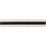 Precision BKL Electronic Male header (precisie) Aantal rijen: 1 Aantal polen per rij: 32 10120538 1 stuk(s)