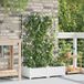 Maison Exclusive - Pot de plante de jardin, 2 pièces, blanc, 80 x 40 x 126 cm, plastique PP