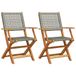 VidaXL Tuinstoel Terras Acaciahout, Polyrattan Grijs (2 stuks)